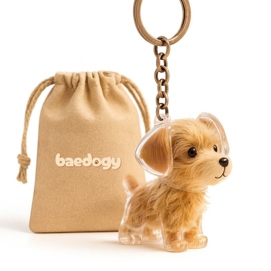 Llavero de recuerdo de tu peludito