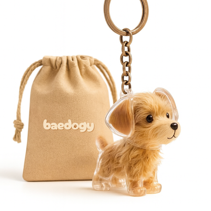 Llavero de recuerdo de tu peludito