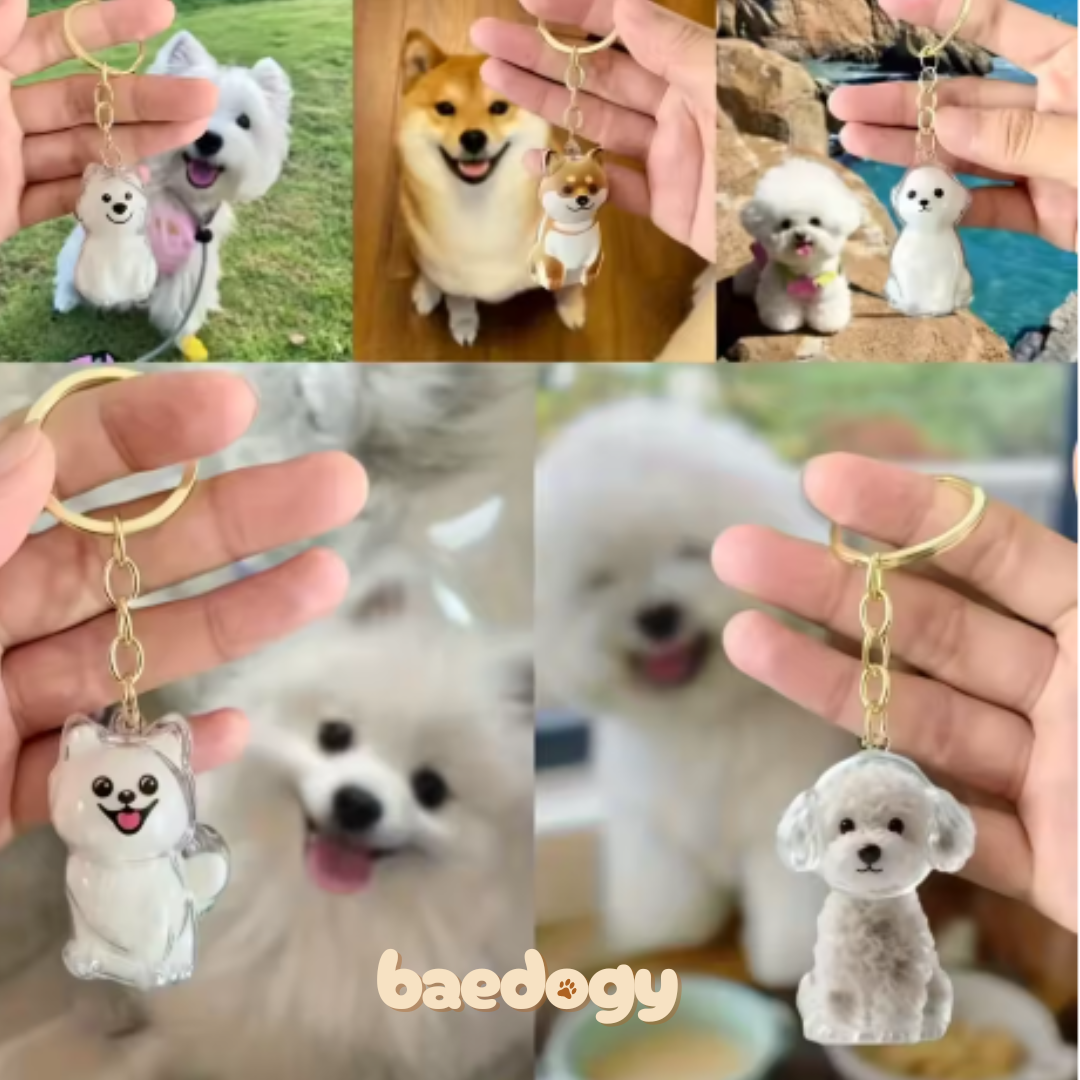 Llavero de recuerdo de tu peludito