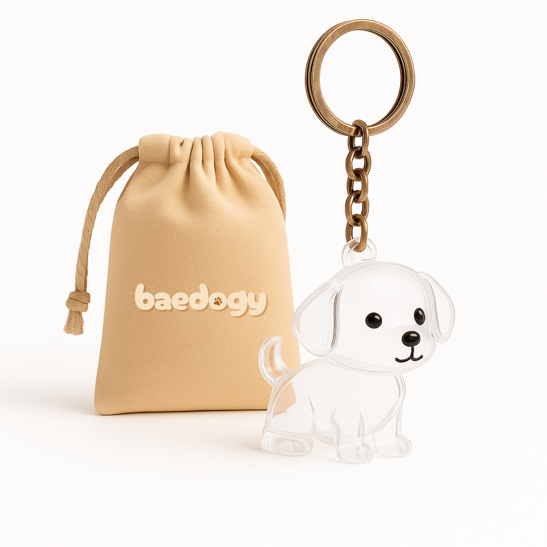 Llavero de recuerdo de tu peludito